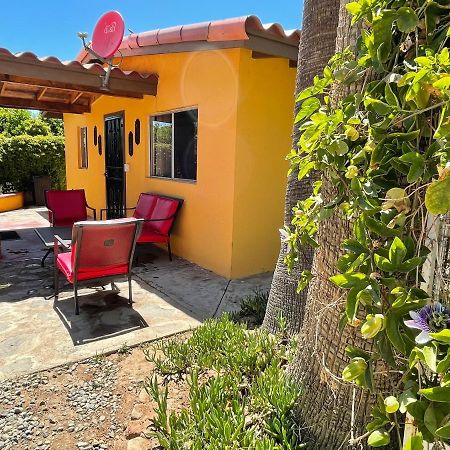 הוסטל ואלה דה גוואדלופה Rancho El Campanario En La Ruta Del Vino מראה חיצוני תמונה