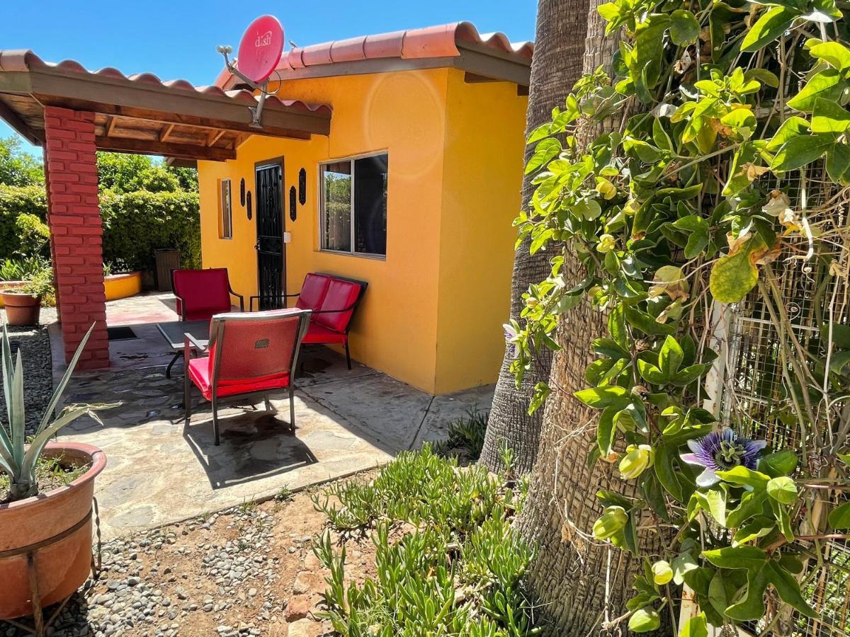הוסטל ואלה דה גוואדלופה Rancho El Campanario En La Ruta Del Vino מראה חיצוני תמונה