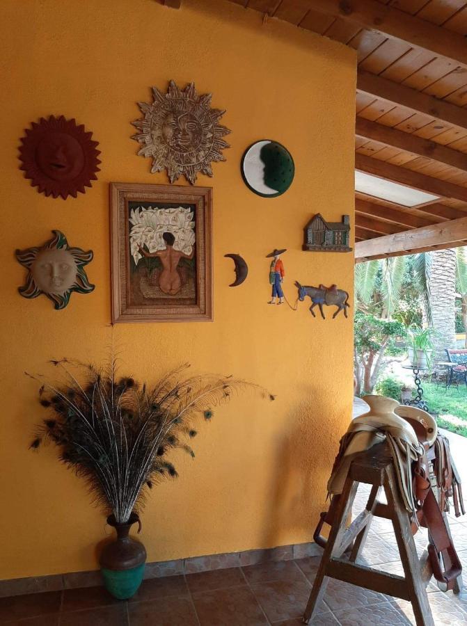 הוסטל ואלה דה גוואדלופה Rancho El Campanario En La Ruta Del Vino מראה חיצוני תמונה