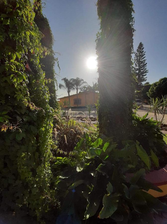 הוסטל ואלה דה גוואדלופה Rancho El Campanario En La Ruta Del Vino מראה חיצוני תמונה