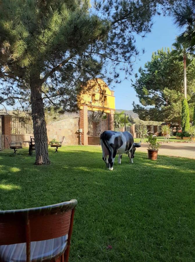 הוסטל ואלה דה גוואדלופה Rancho El Campanario En La Ruta Del Vino מראה חיצוני תמונה