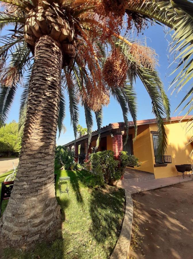 הוסטל ואלה דה גוואדלופה Rancho El Campanario En La Ruta Del Vino מראה חיצוני תמונה