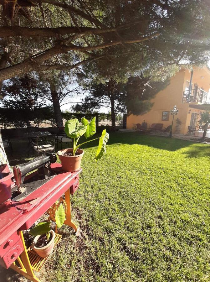 הוסטל ואלה דה גוואדלופה Rancho El Campanario En La Ruta Del Vino מראה חיצוני תמונה