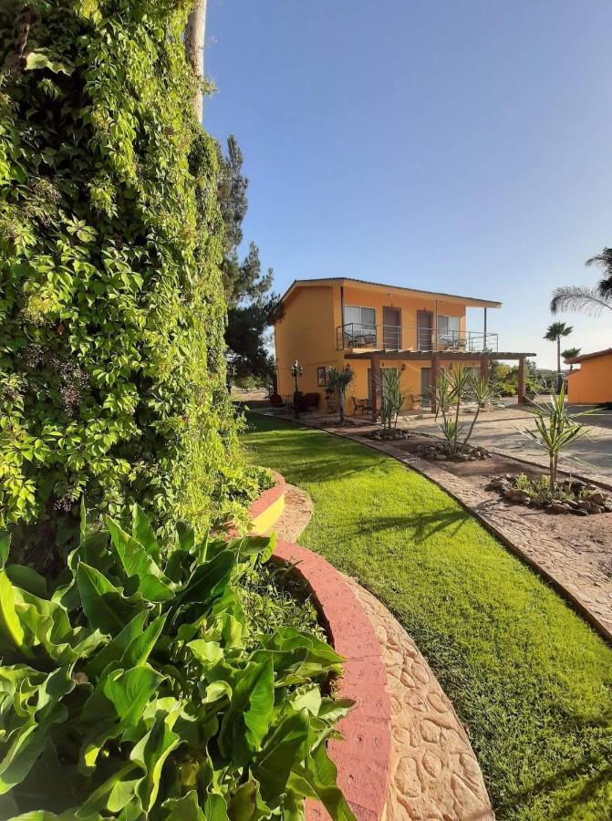 הוסטל ואלה דה גוואדלופה Rancho El Campanario En La Ruta Del Vino מראה חיצוני תמונה