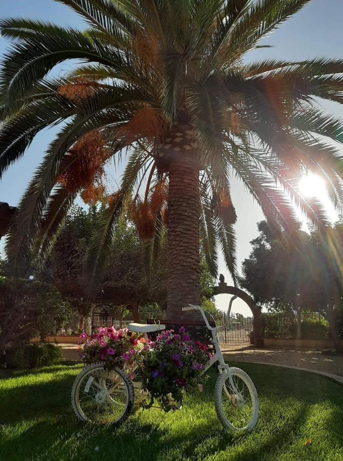 הוסטל ואלה דה גוואדלופה Rancho El Campanario En La Ruta Del Vino מראה חיצוני תמונה