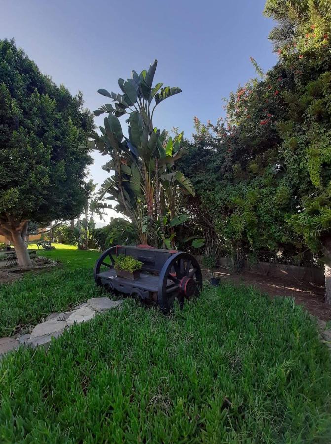 הוסטל ואלה דה גוואדלופה Rancho El Campanario En La Ruta Del Vino מראה חיצוני תמונה