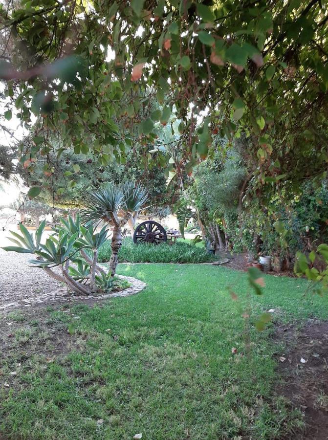 הוסטל ואלה דה גוואדלופה Rancho El Campanario En La Ruta Del Vino מראה חיצוני תמונה