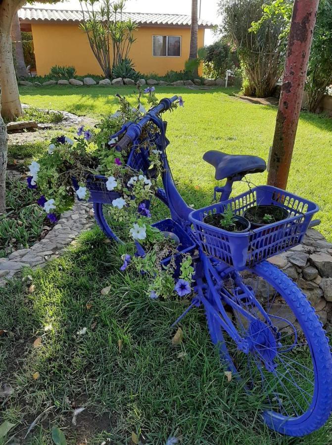 הוסטל ואלה דה גוואדלופה Rancho El Campanario En La Ruta Del Vino מראה חיצוני תמונה