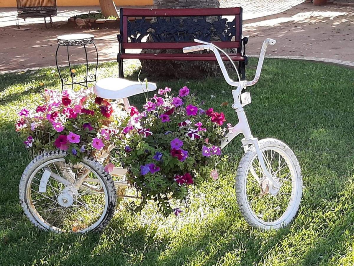הוסטל ואלה דה גוואדלופה Rancho El Campanario En La Ruta Del Vino מראה חיצוני תמונה