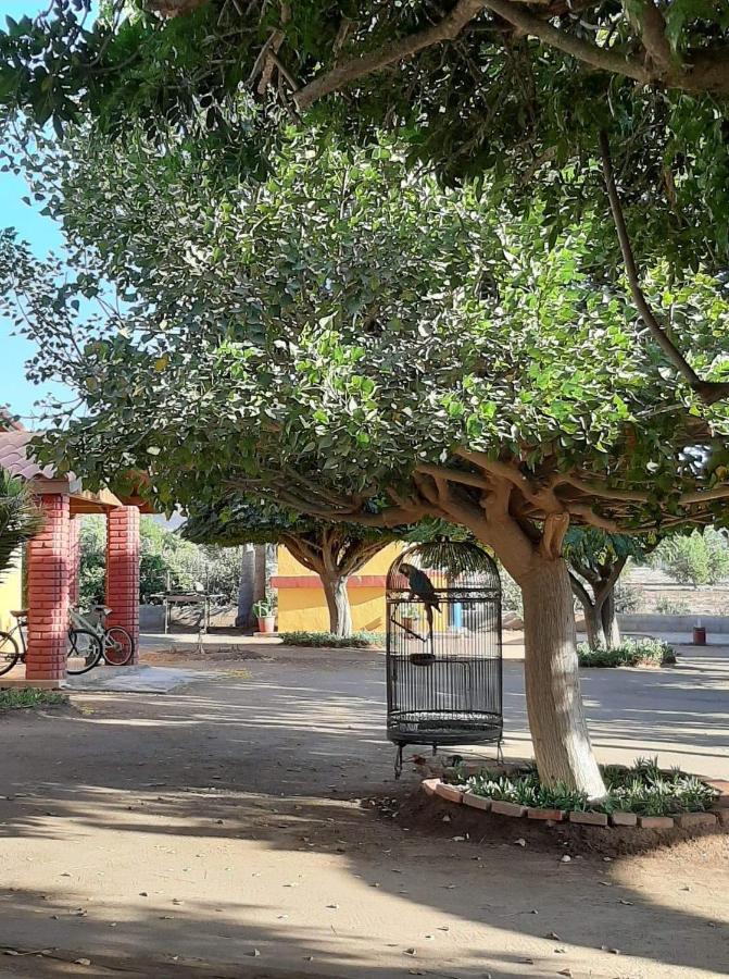 הוסטל ואלה דה גוואדלופה Rancho El Campanario En La Ruta Del Vino מראה חיצוני תמונה