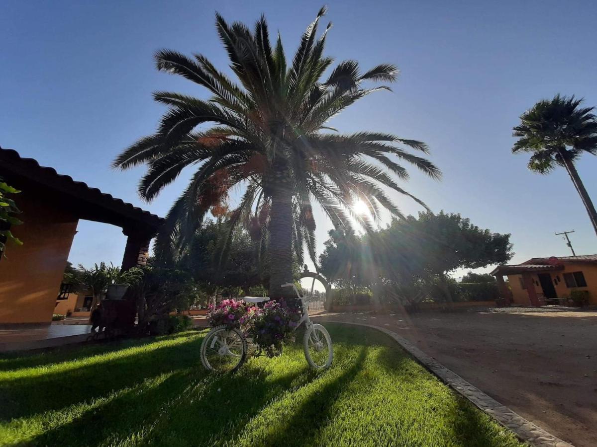 הוסטל ואלה דה גוואדלופה Rancho El Campanario En La Ruta Del Vino מראה חיצוני תמונה