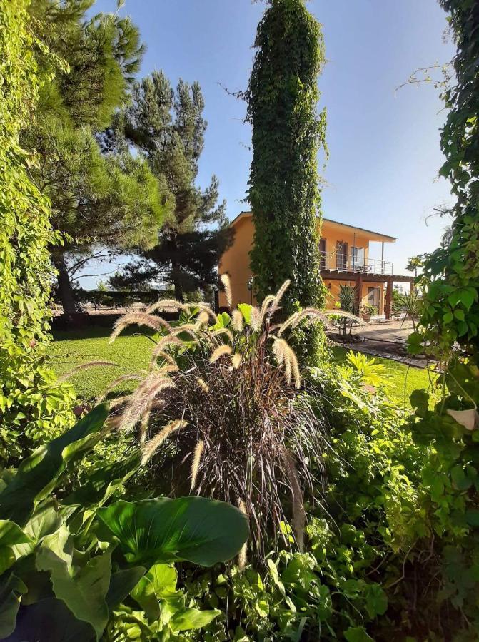 הוסטל ואלה דה גוואדלופה Rancho El Campanario En La Ruta Del Vino מראה חיצוני תמונה