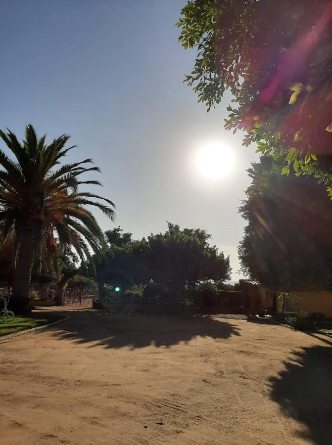הוסטל ואלה דה גוואדלופה Rancho El Campanario En La Ruta Del Vino מראה חיצוני תמונה