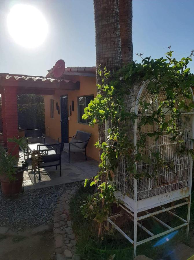 הוסטל ואלה דה גוואדלופה Rancho El Campanario En La Ruta Del Vino מראה חיצוני תמונה