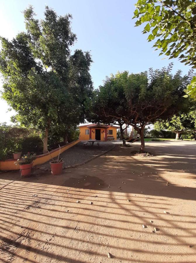 הוסטל ואלה דה גוואדלופה Rancho El Campanario En La Ruta Del Vino מראה חיצוני תמונה