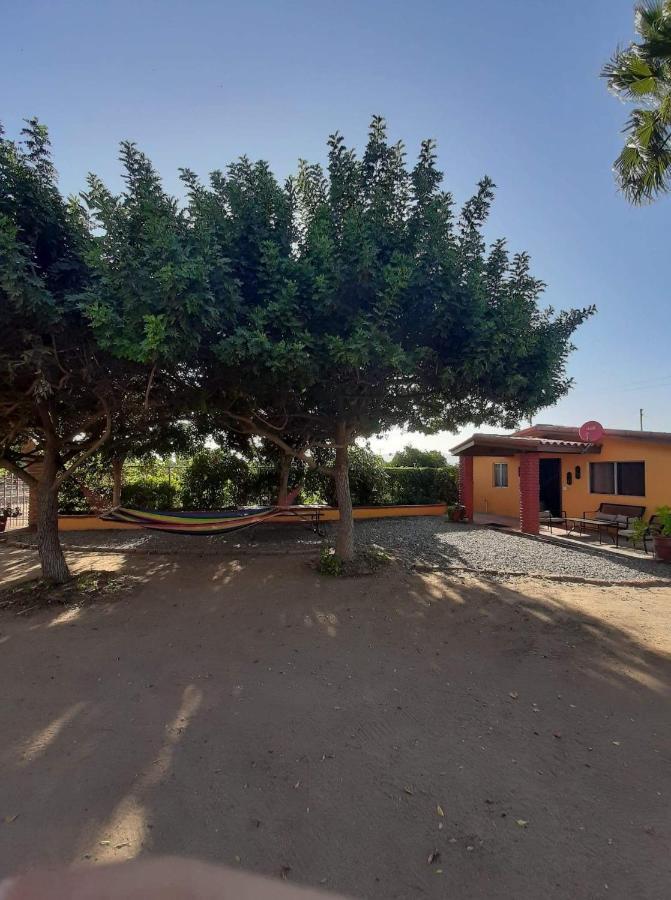 הוסטל ואלה דה גוואדלופה Rancho El Campanario En La Ruta Del Vino מראה חיצוני תמונה